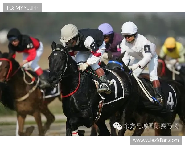 如何利用赛马会真人国际平台的优惠活动提升游戏体验与收益